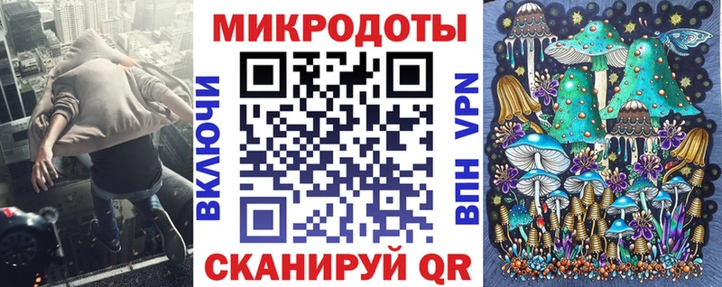 как найти наркотики  Снежногорск  Галлюциногенные грибы Cubensis 