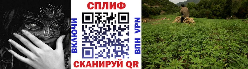 даркнет какой сайт  Снежногорск  Бошки Шишки конопля 